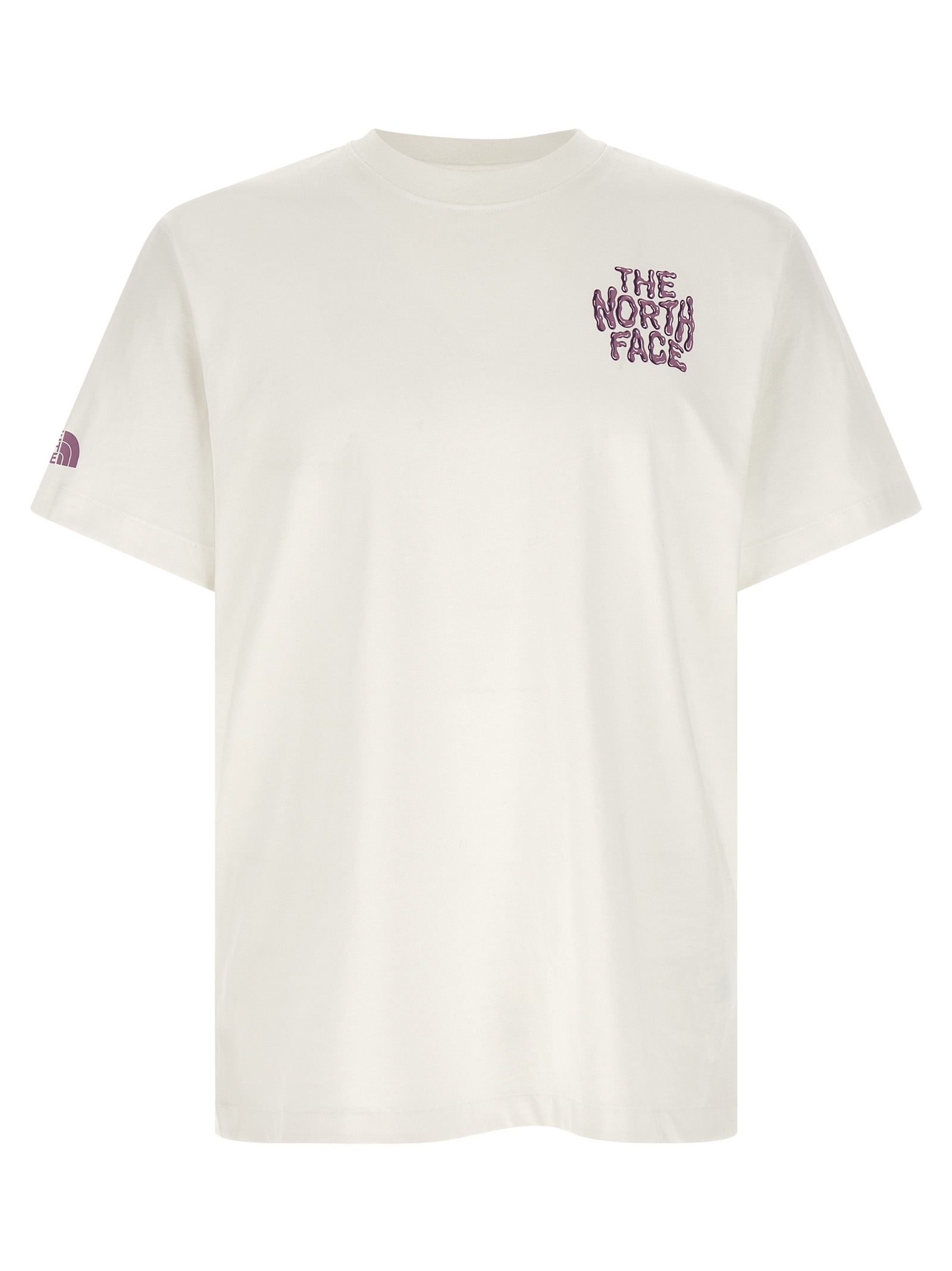 The North Face Drip Logo T-shirt