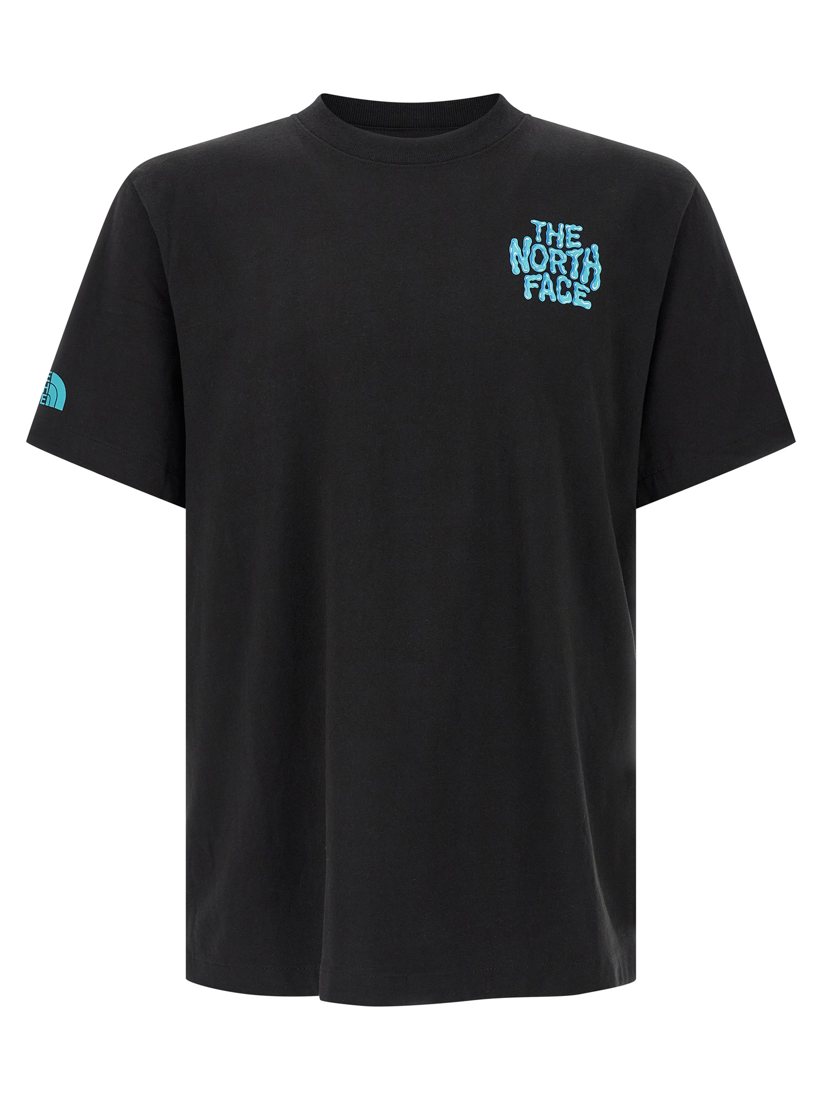 The North Face Drip Logo T-shirt