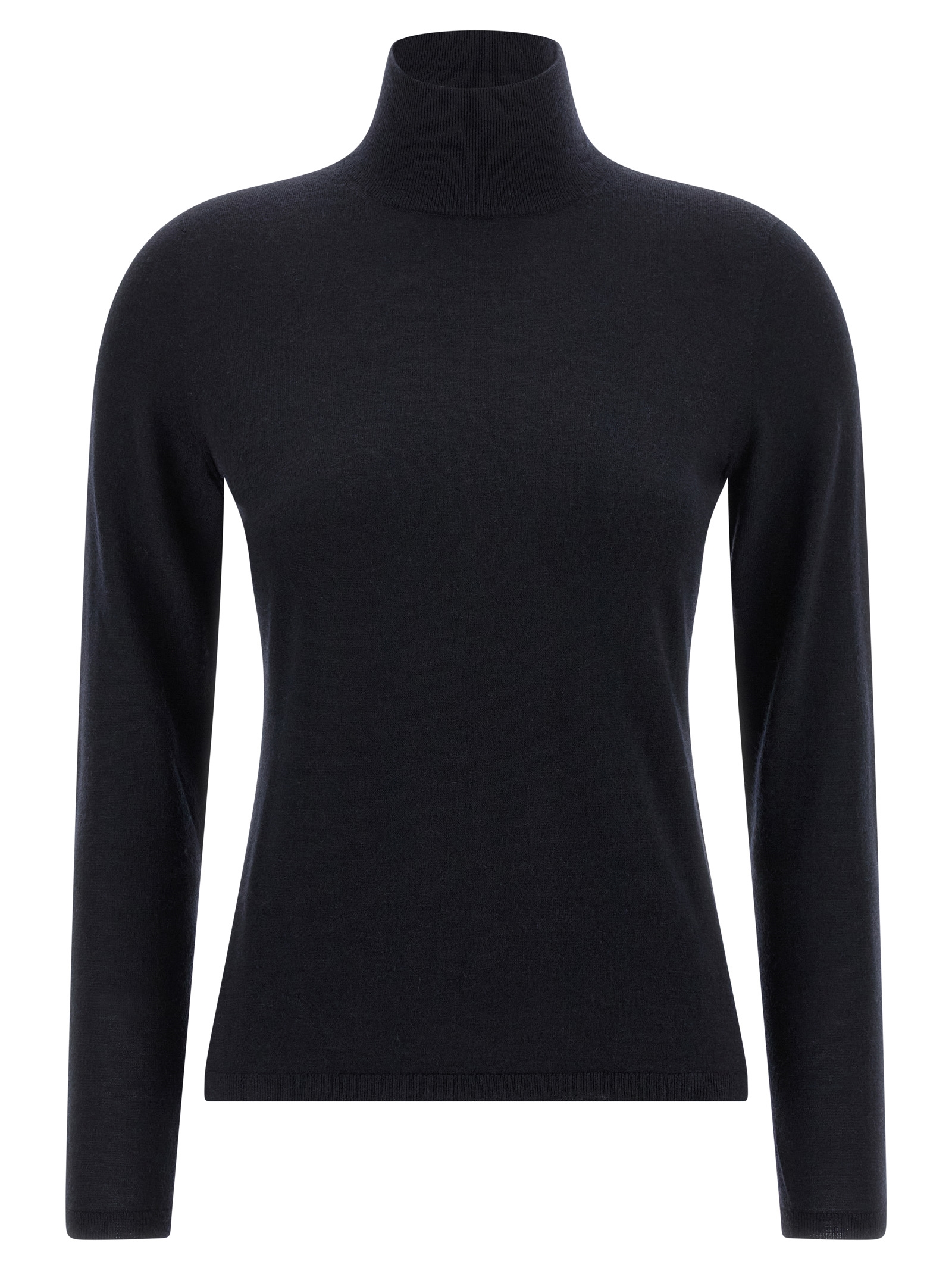 Max Mara Meana Turtleneck
