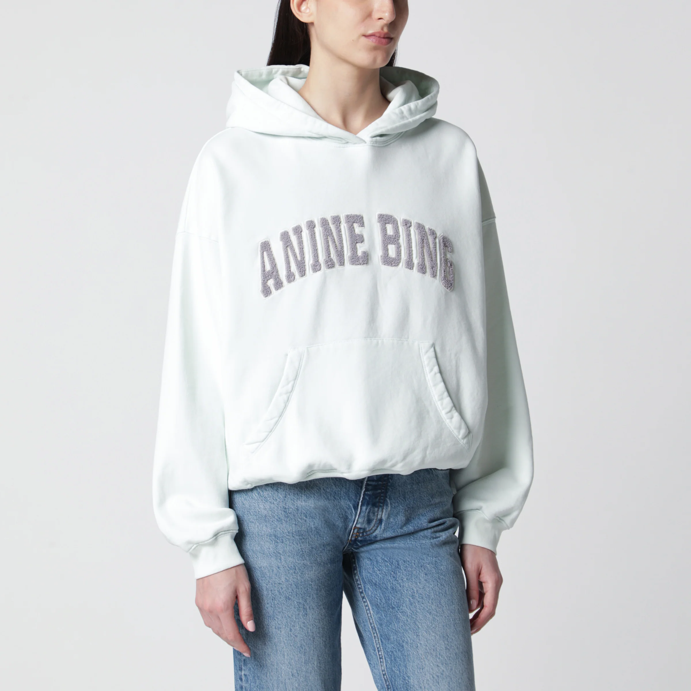 ANINE BING Harvey hoodie mint green