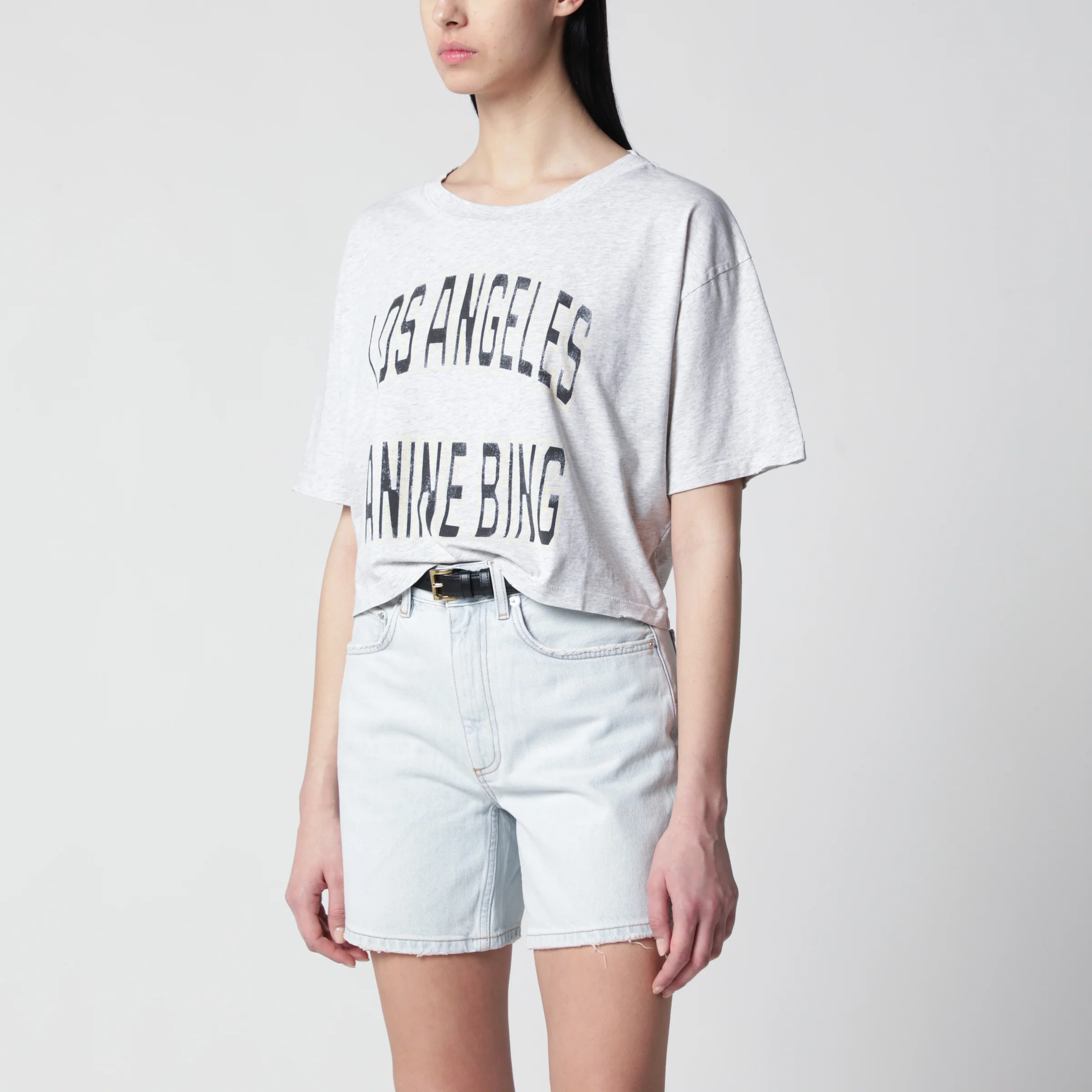 ANINE BING Johnny cropped T-shirt with vintage print in cotton grey